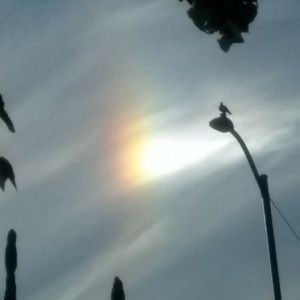 Meet your Posher, Cc